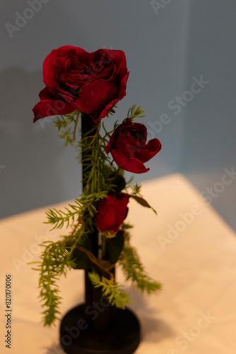 Wallpaper Mural Greater Atlanta Rose Society rose show at the ATL Botanical Gardens Torontodigital.ca