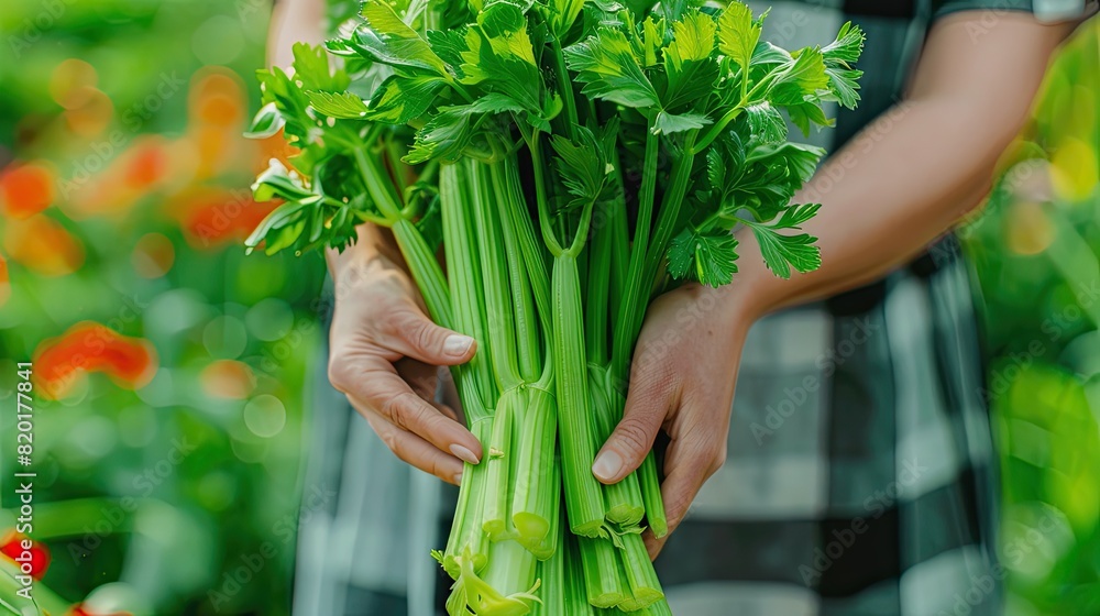 Fototapeta premium Harvest in the hands of a woman in the garden. Selective focus.