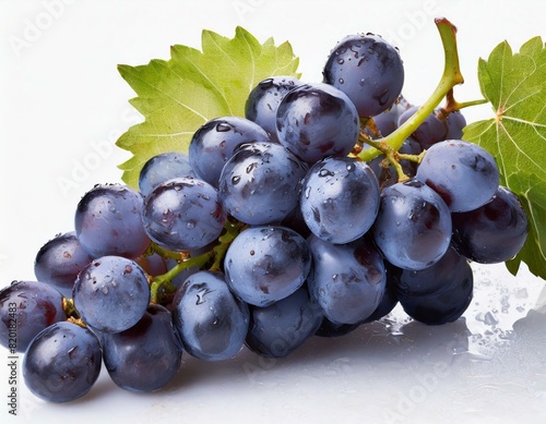 Blue wet Isabella grapes bunch isolated on white background as package design element. AI generated photo