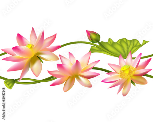 Pink lotus. Floral background. Tropical flowers. Asia. China. Bouquet. Seamless pattern. India. Water lily.