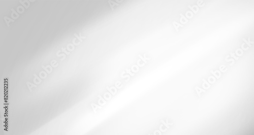 Glare from the sun's rays on the wall. Blurred shadows from leaves and plants in the room. Soft overlay of natural light. Abstract background for product presentation.Natural light layout.