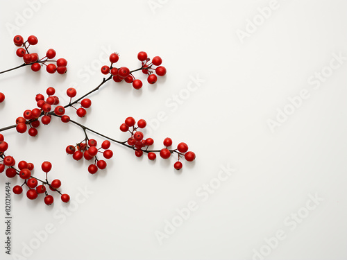 A branch with crimson berries elegantly positioned on a clean white desk, creating a serene scene