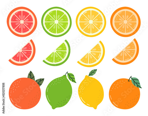Citrus Fruit Vector Illustration Isolated on White Background. Cute Lemons, Limes, Oranges, Grapefruits Set. Whole Summer Fruits and Slices.