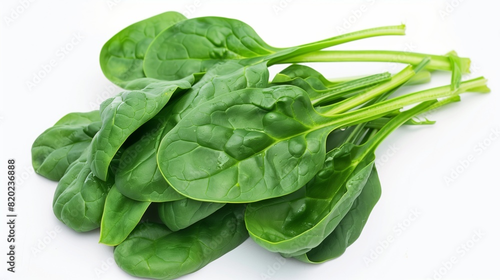Deep Green Spinach Leaves, Fresh and Vibrant, on a Stark White Background Deep Green Spinach Leaves, Fresh and Vibrant, on a Stark White Background