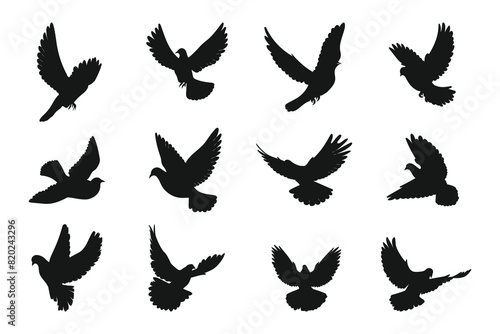 Dove silhouette vector art white background