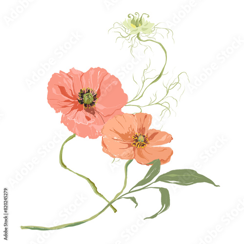 Watercolor abstract flower bouquet of pink poppy and bud. Hand drawn wildflowers isolated on white background. Holiday Illustration for design, print, fabric or background.