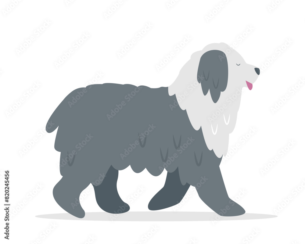 Obraz premium Fluffy big Dog. White and gray cute happy pet. Domestic animal bobtail dog breed. Vector icon illustration isolated on white background.