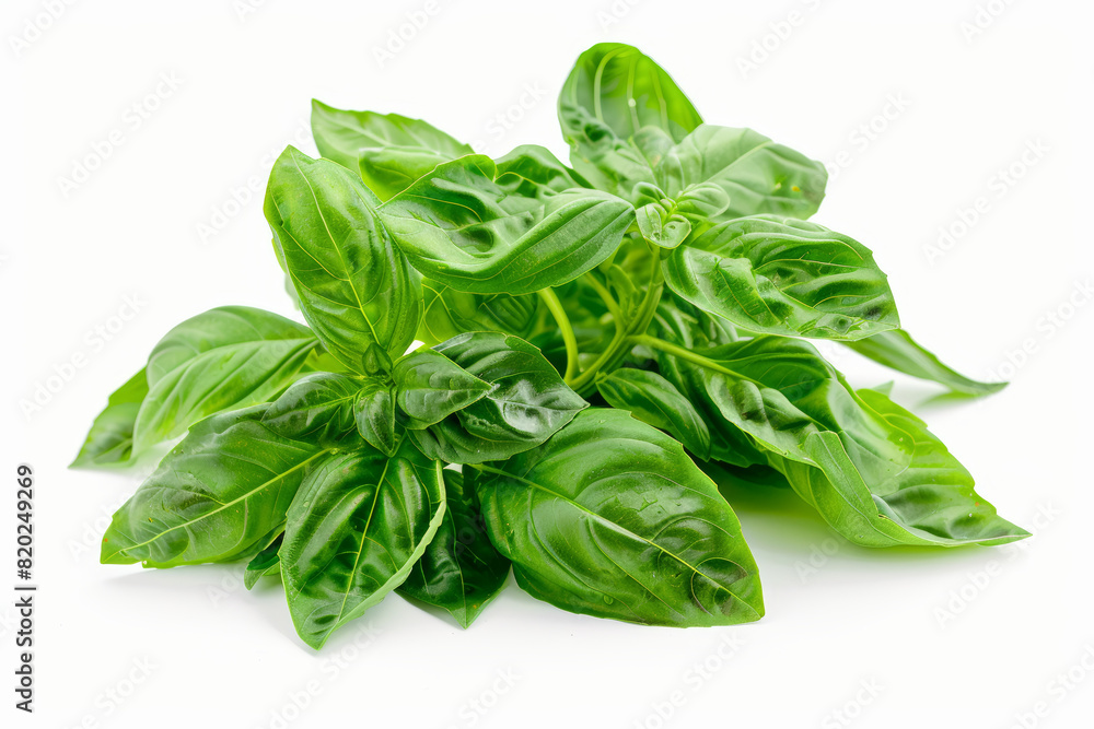 A bunch of fragrant basil leaves isolated on a white surface, showcasing their aromatic scent and culinary versatility. Concept of herb garden and Italian cuisine. Generative Ai. A bunch of fragrant basil leaves isolated on a white surface, showcasing their aromatic scent and culinary versatility. Concept of herb garden and Italian cuisine. Generative Ai.