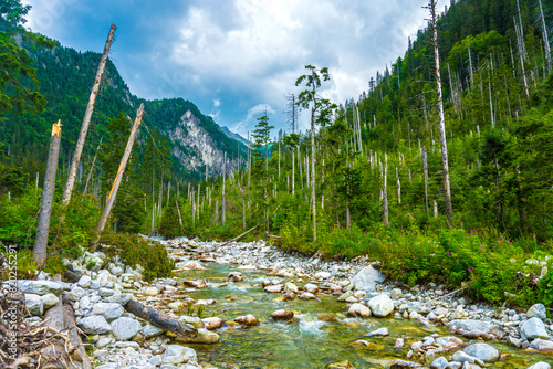 Mountain Stream in the Tatra Mountains, Poland