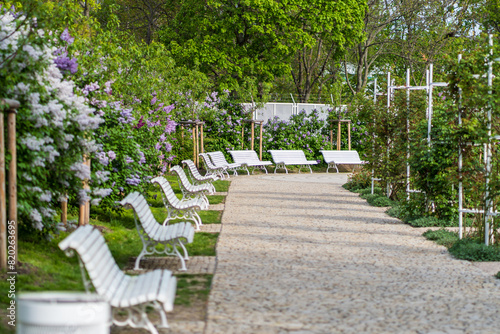 A park with rose flowers and white benches on Petrin Hill above the city.