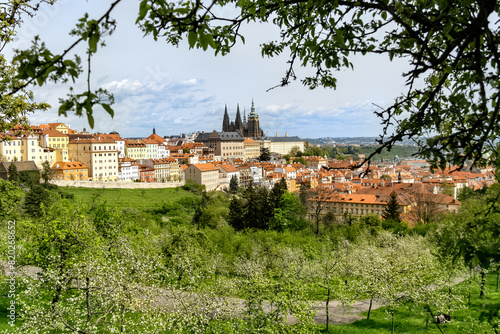 Prague Castle, seat of the Czech President. View from the park with spring flowering trees.