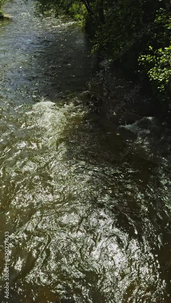 Sunlit River Flowing Through Verdant Landscape Sunlit River Flowing Through Verdant Landscape