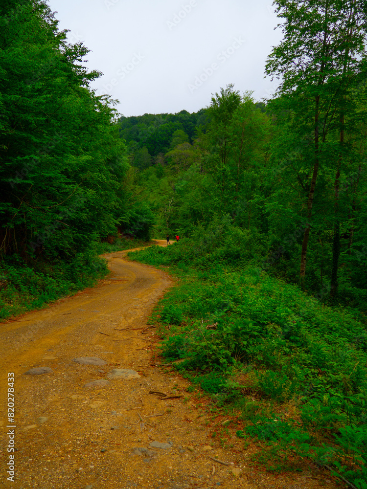 golderesi waterfall and forestroad are so beautifull in spring., golderesi waterfall and forestroad are so beautifull in spring.,