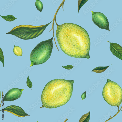 Watercolor seamless lime pattern with green lemons and lime branch with leaves. Hand painted yellow fruits isolated on blue background. Fresh citrus illustration for design, print, fabric, decor
