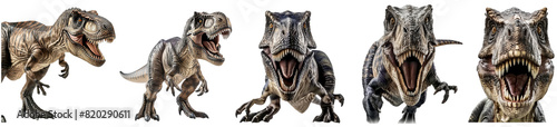 Set of T-rex dinosaur tyrannosaurus rex portrait front view head shot isolated cutout on transparent background.