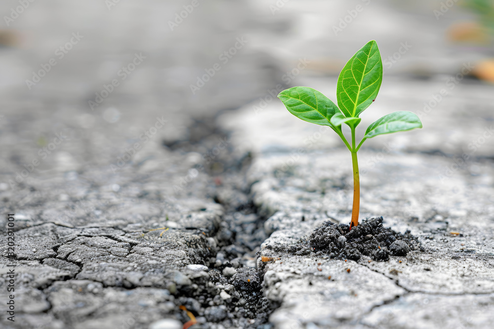 A steadfast commitment to personal growth and self-improvement, anchoring the individual amidst life's uncertainties. Concept of self-development. Generative Ai. A steadfast commitment to personal growth and self-improvement, anchoring the individual amidst life's uncertainties. Concept of self-development. Generative Ai.