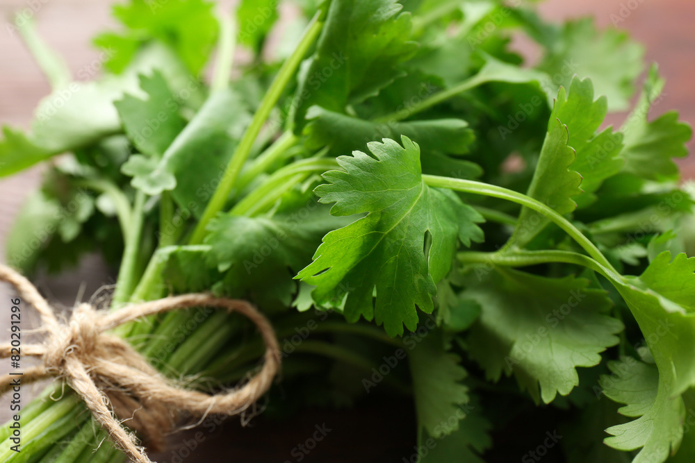 Fototapeta premium Bunch of fresh coriander on table, closeup