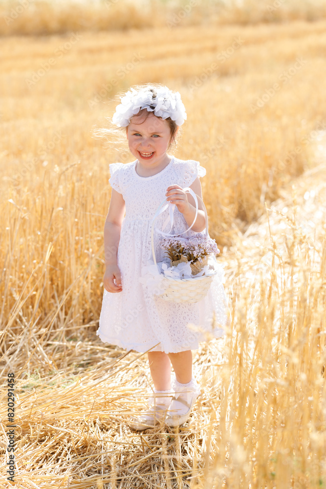 A little girl in a white dress, with a basket in her hands and a white wreath on her head in a wheat field, Jewish holiday Shavuot A little girl in a white dress, with a basket in her hands and a white wreath on her head in a wheat field, Jewish holiday Shavuot