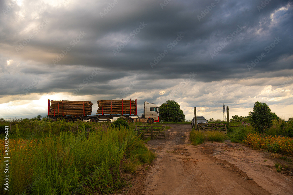 Obraz premium Timber transport truck crossing highway on rainy day