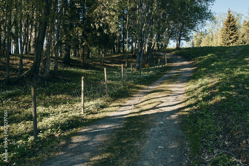 Images from a day in May 2024 at Steinberg Open Air Museum, Toten, Norway. photo