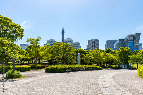 (神奈川県ｰ風景)臨港パーク周辺の風景１１
