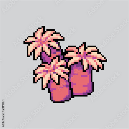 Pixel art illustration Coral. Pixelated Coral. Sea Coral Building pixelated for the pixel art game and icon for website and video game. old school retro.