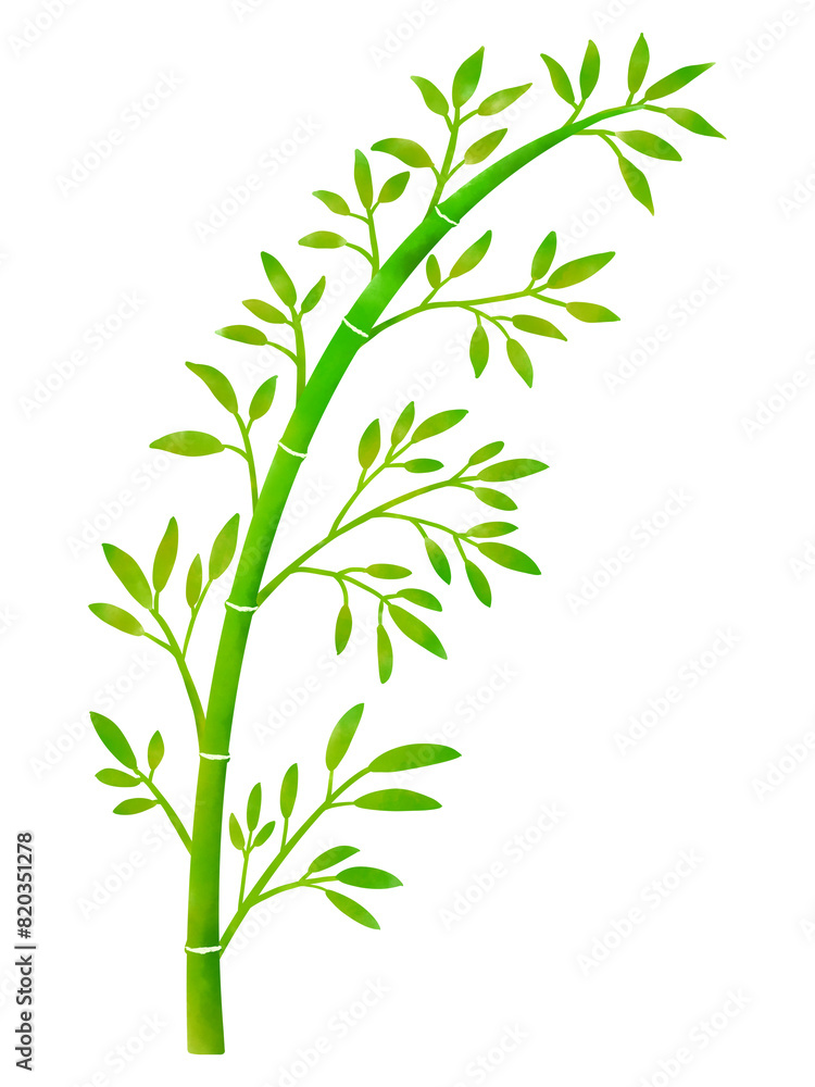 Fototapeta premium シンプルな水彩の笹のイラスト