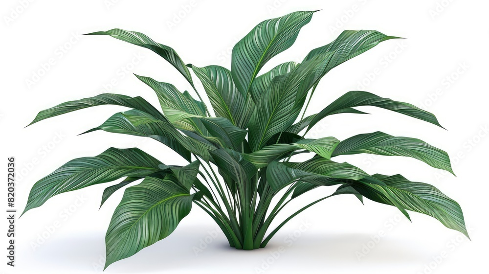 custom made wallpaper toronto digitalSpathiphyllum Cannifolium With A Concept Green Abstract Texture, Showcasing The Exotic Beauty Of Nature, High Quality