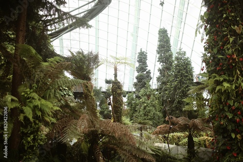 Cloud forest - Gardens by the Bay, Singapore