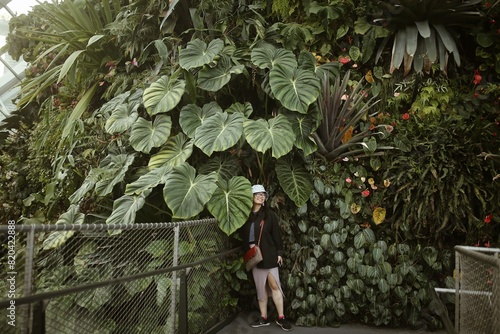 Cloud forest - Gardens by the Bay, Singapore