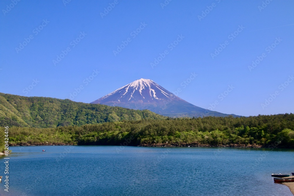 西湖と富士山（山梨県・富士河口湖町）