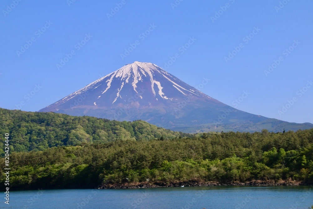 西湖と富士山（山梨県・富士河口湖町）