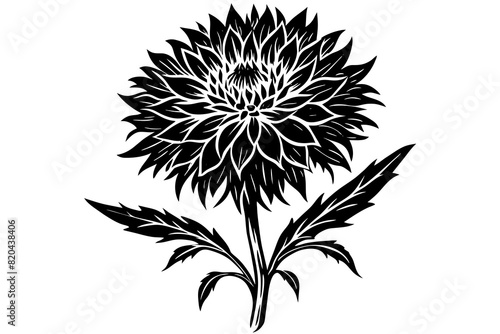 cornflower vector silhouette illustration
