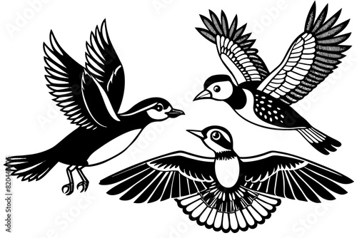 warbler oriole puffin spoonbill flying vector silhouette illustration