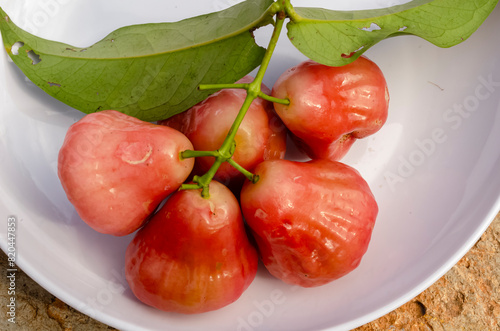 Java Apples In A Plate photo