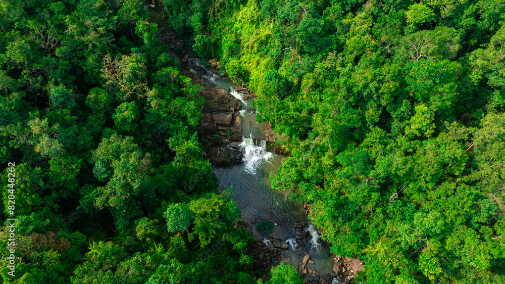 Aerial view of mixed forest, deciduous trees, greenery and waterfalls flowing through the forest. The rich natural ecosystem of rainforest concept is all about conservation and natural reforestation Aerial view of mixed forest, deciduous trees, greenery and waterfalls flowing through the forest. The rich natural ecosystem of rainforest concept is all about conservation and natural reforestation