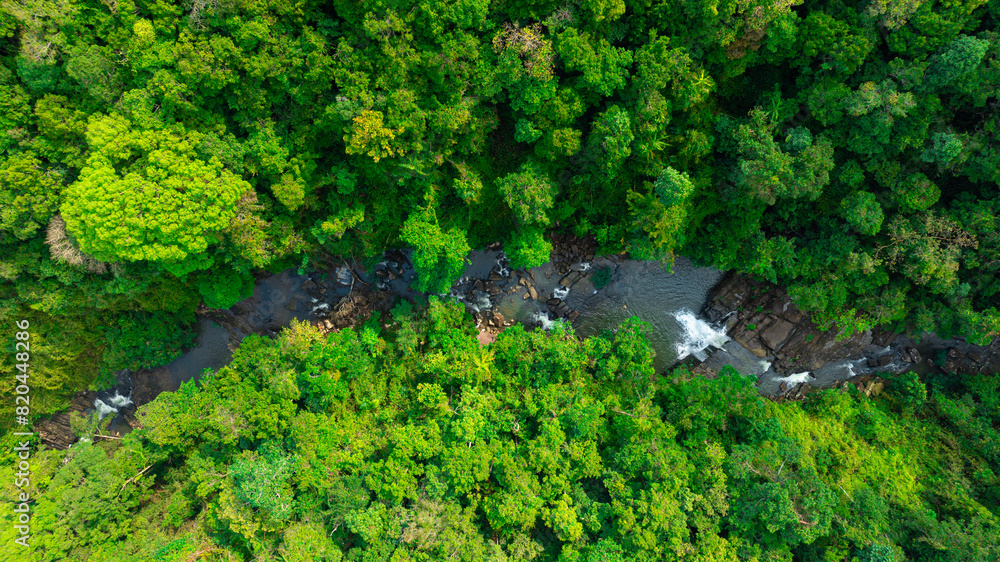 Aerial view of mixed forest, deciduous trees, greenery and waterfalls flowing through the forest. The rich natural ecosystem of rainforest concept is all about conservation and natural reforestation Aerial view of mixed forest, deciduous trees, greenery and waterfalls flowing through the forest. The rich natural ecosystem of rainforest concept is all about conservation and natural reforestation