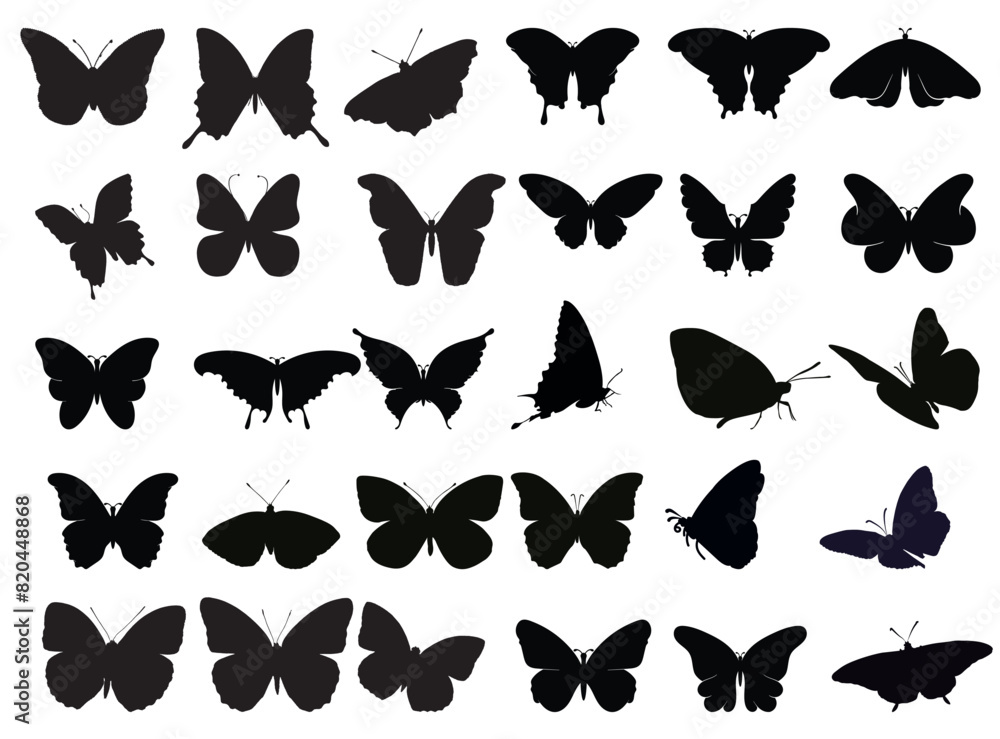 butterfly silhouette butterfly silhouette