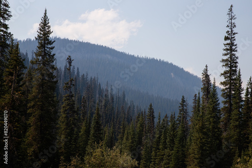 Canadian Rockies, Banff National Park, Alberta, Canada. 