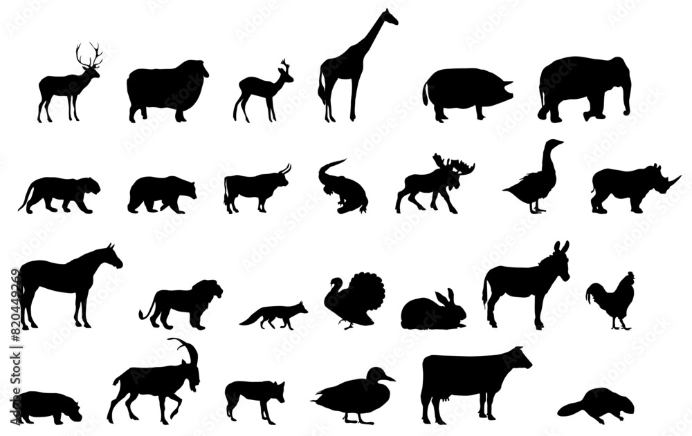 Fototapeta premium animals silhouette