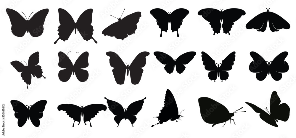 butterfly silhouette butterfly silhouette