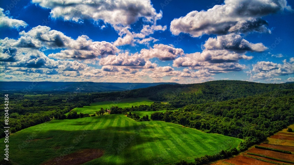 Freshly cut field with stripes Freshly cut field with stripes