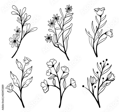 floral line art collection