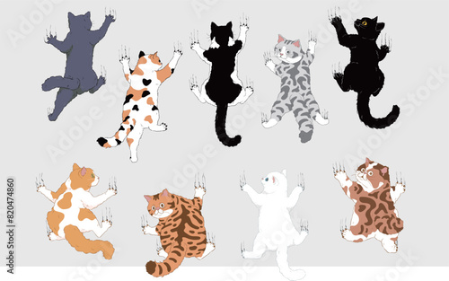 Set of Cute Cartoon Cats Climbing a Wall with Their Front Paws Extended - Calico, Orange, black, White, Tuxedo, and Silver Tabby Cats. Isolated Vector Illustration. © fishyo