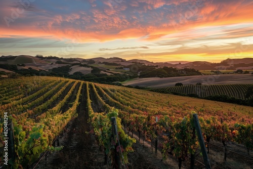 Vineyard Landscape at Sunset  With The Sky Painted in Hues of Orange And Pink  Casting a Warm Glow Over The Rolling Hills And Rows of Grapevines  Generative AI