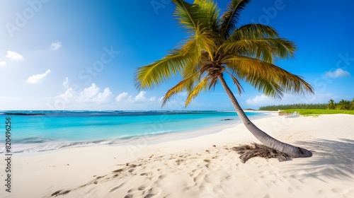 Tranquil Tropical Beach with Leaning Palm Tree