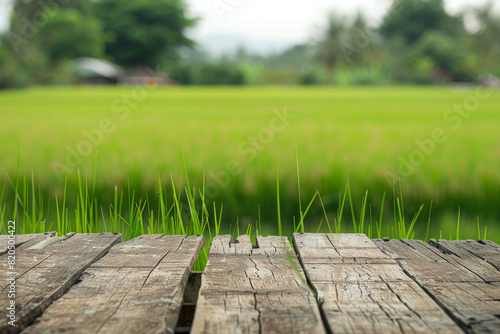 A wooden desk top with blurred background of paddy field. Good for background 