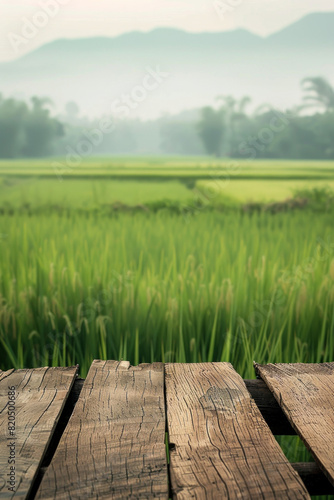 A wooden desk top with blurred background of paddy field. Good for background  © grey