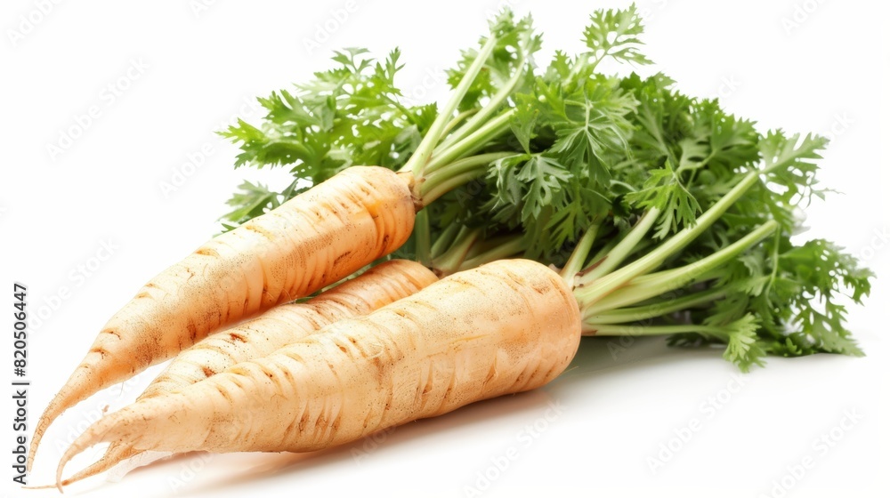 Fresh and organic carrots. A great source of vitamins and minerals. Fresh and organic carrots. A great source of vitamins and minerals.