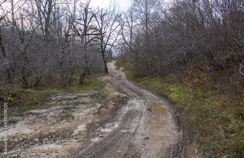 dirt road leading to the forest, autumn motif and the state of nature